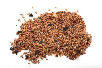 Wild bird food, put out in a garden to feed wild birds.