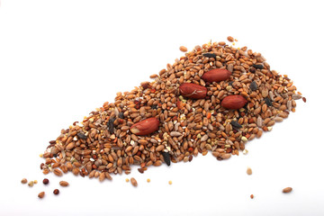 Wild bird food, put out in a garden to feed wild birds.