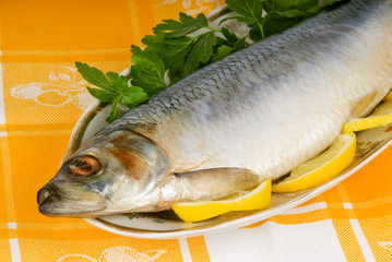 herring