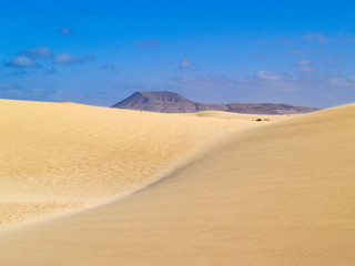 Fototapeta na wymiar Dunes of Corralejo, Fuerteventura