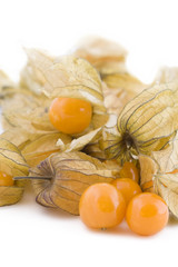 Physalis fruits on white
