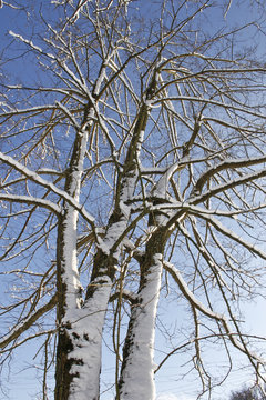 Winter_Schnee_Landschaft
