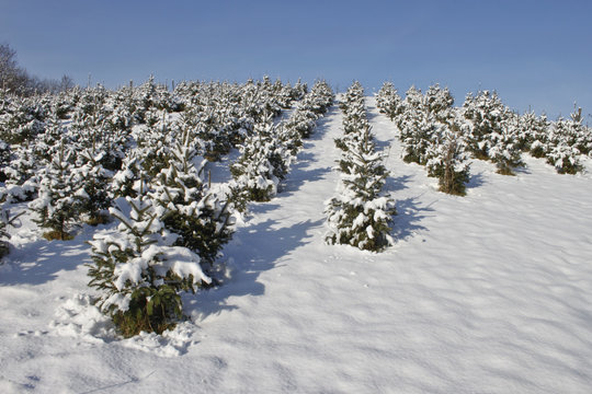 Winter_Schnee_Landschaft