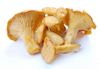 mushrooms chanterelle