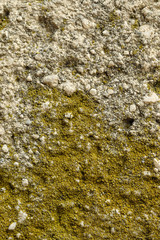 stone