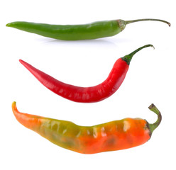 green orange red hot chili pepper