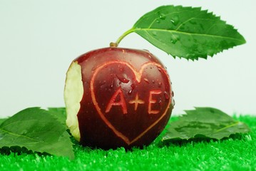 Adam und Evas Sünde im Garten Eden