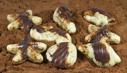 cioccolatini marini
