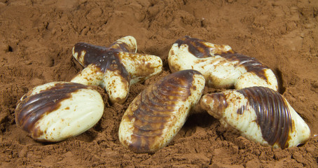 cioccolatini frutti di mare