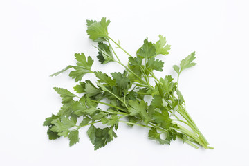 イタリアンパセリ