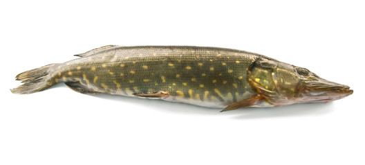 pike