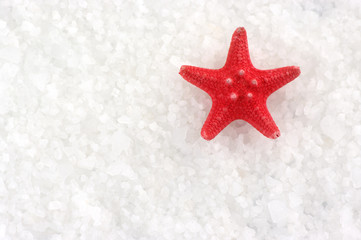 Fototapeta na wymiar Starfish on bath salt