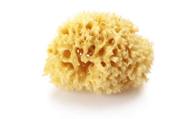 Bath sponge - 29163628