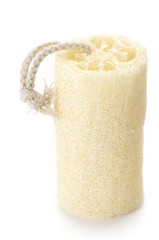Loofah