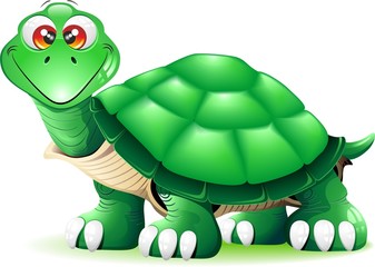 Tartaruga Verde Cartoon-Green Turtle Cartoon-Vector