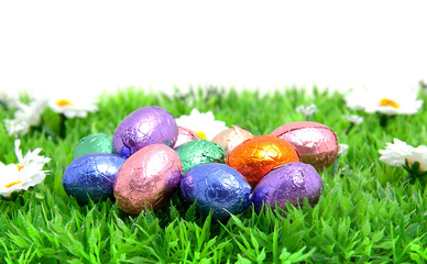 colorful easter eggs in grass over white background