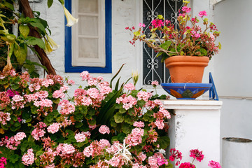 Fototapeta na wymiar flowers on porch