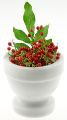 graines de baies roses dans un mortier, schinus