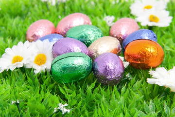 colorful easter eggs in grass over white background
