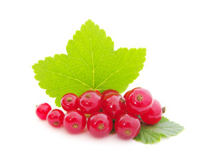red currants
