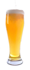 Beer in glass