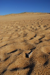 Plage cöte sauvage