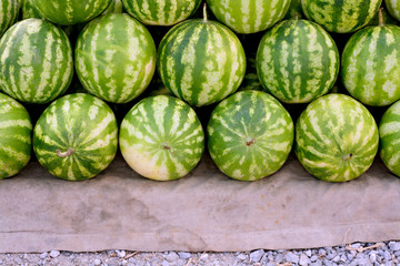 Ripe watermelons for sale at street market