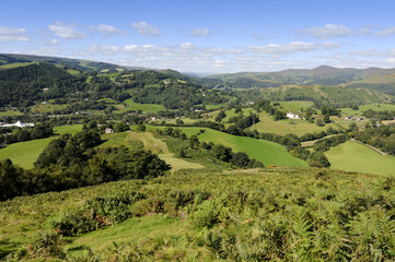 Castell Dinas Bran