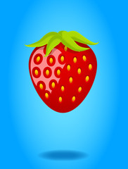 Fresh Strawberry