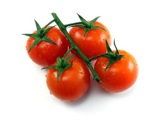 Wet fresh tomatoes with stem & leaves on white background