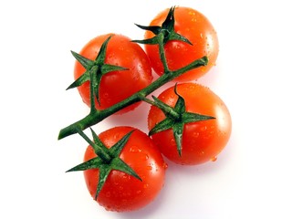 Wet fresh tomatoes with stem & leaves on white background