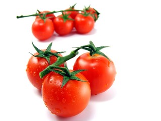 Wet fresh tomatoes with stem & leaves on white background DOF