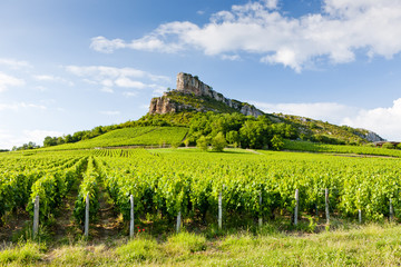 Fototapeta na wymiar Solutre Rock z winnic, Burgundii, Francja