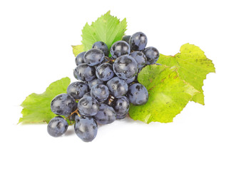 Blue grapes