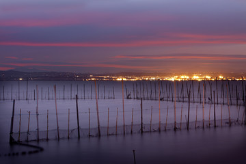 La Albufera