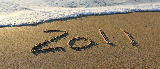 happy new year 2011