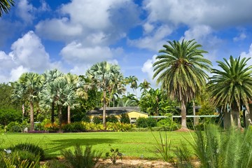 Fairchild tropical botanic garden, FL, USA