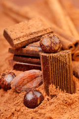 Chocolate and cocoa