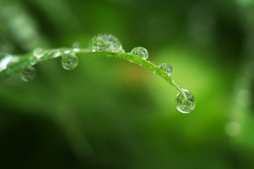 Macro of raindrop