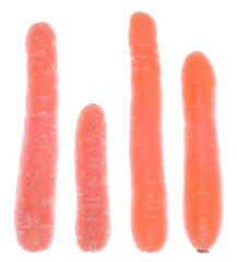 Carrots