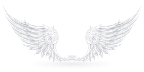 Fototapeta na wymiar Wings white