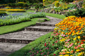 beautiful flowers in park