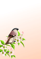 Spring background with sparrow at lilac branch