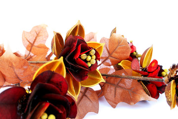 Obraz premium Flowers