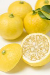 Obraz na płótnie Canvas Lemon z liśćmi na białym tle