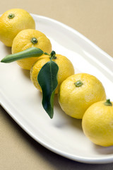 Lemon with leaves 2