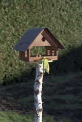 Vogelhaus im Garten