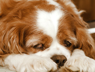 Tired