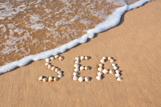 word "sea" shell written on beach sand