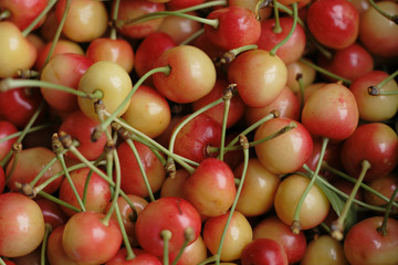 fresh cherries